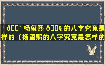 🌴 杨玺熙 🐧 的八字究竟是怎样的（杨玺熙的八字究竟是怎样的人）